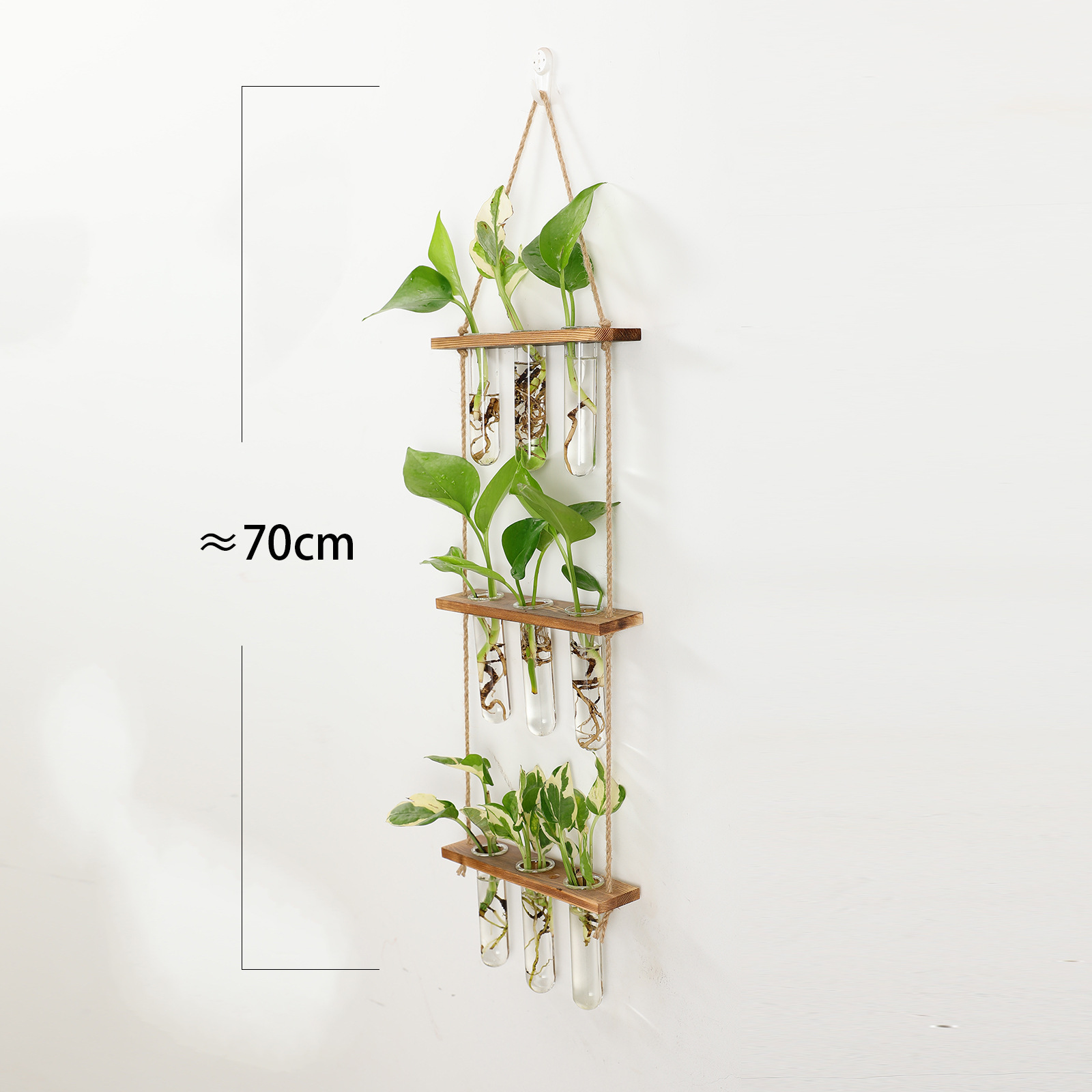 Hanging Glass Terrarium