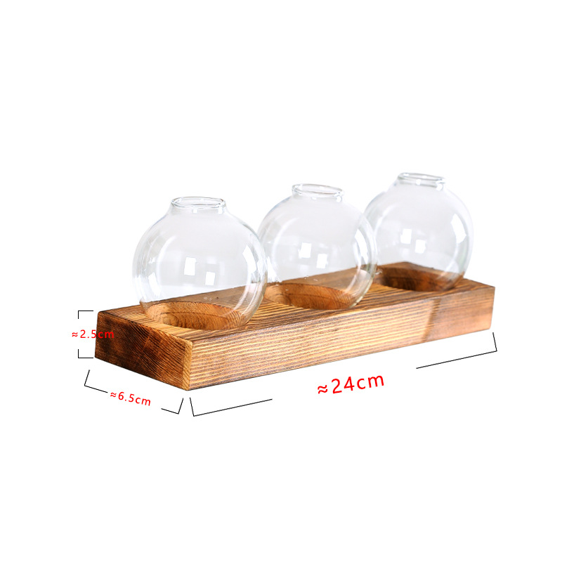 Hanging Glass Terrarium