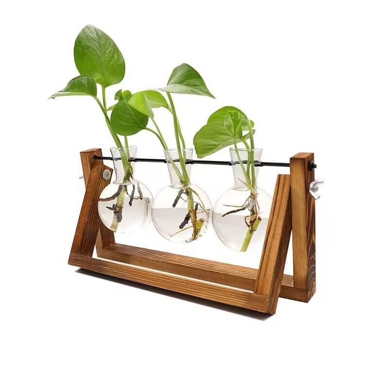 Hanging Glass Terrarium