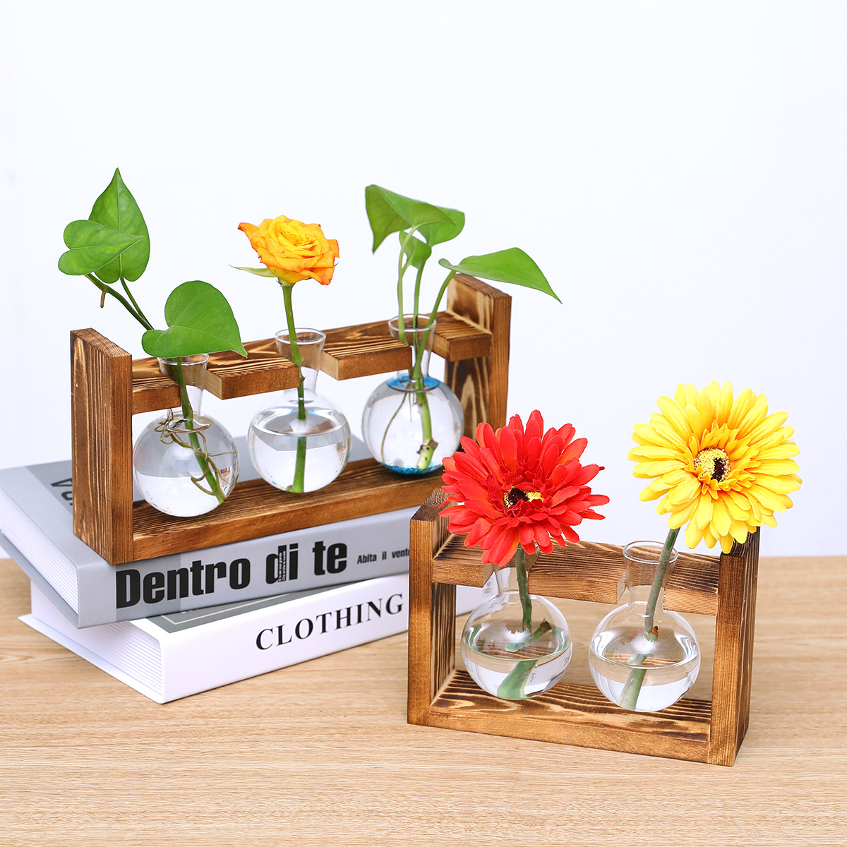 Hanging Glass Terrarium