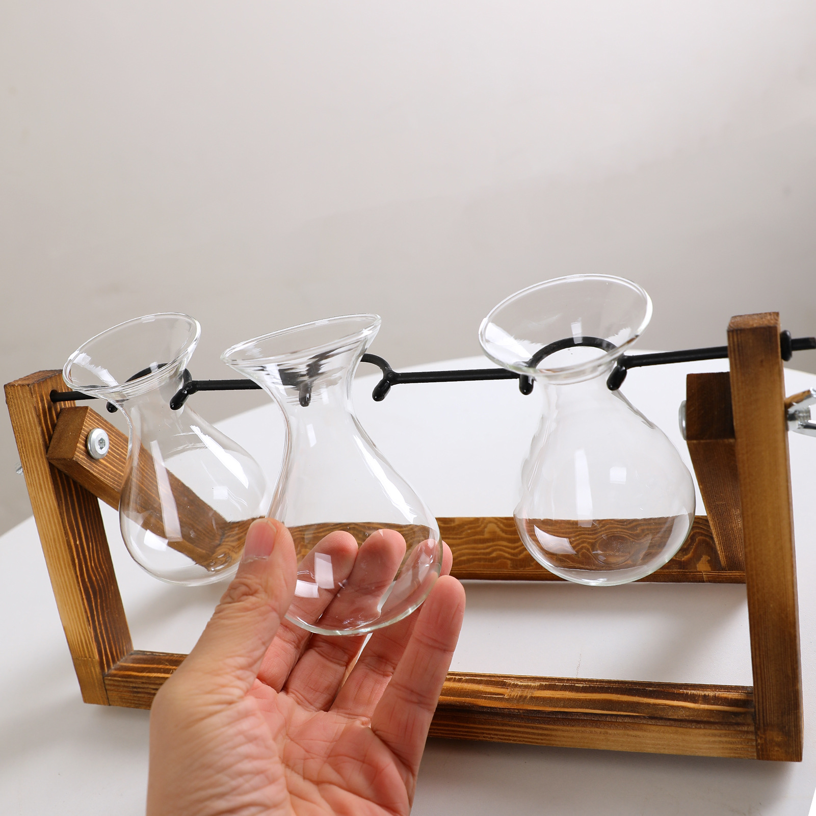 Hanging Glass Terrarium