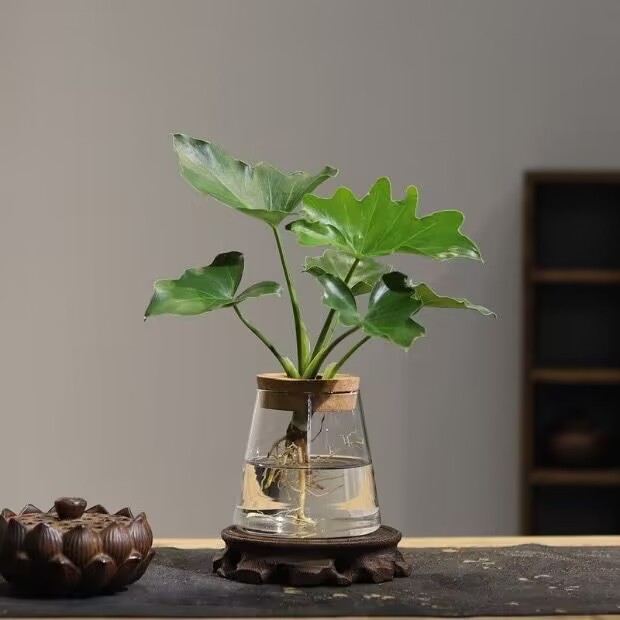 Propagation Station