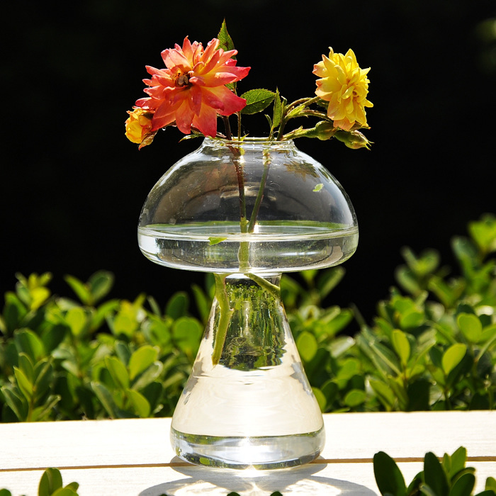 Propagation Station