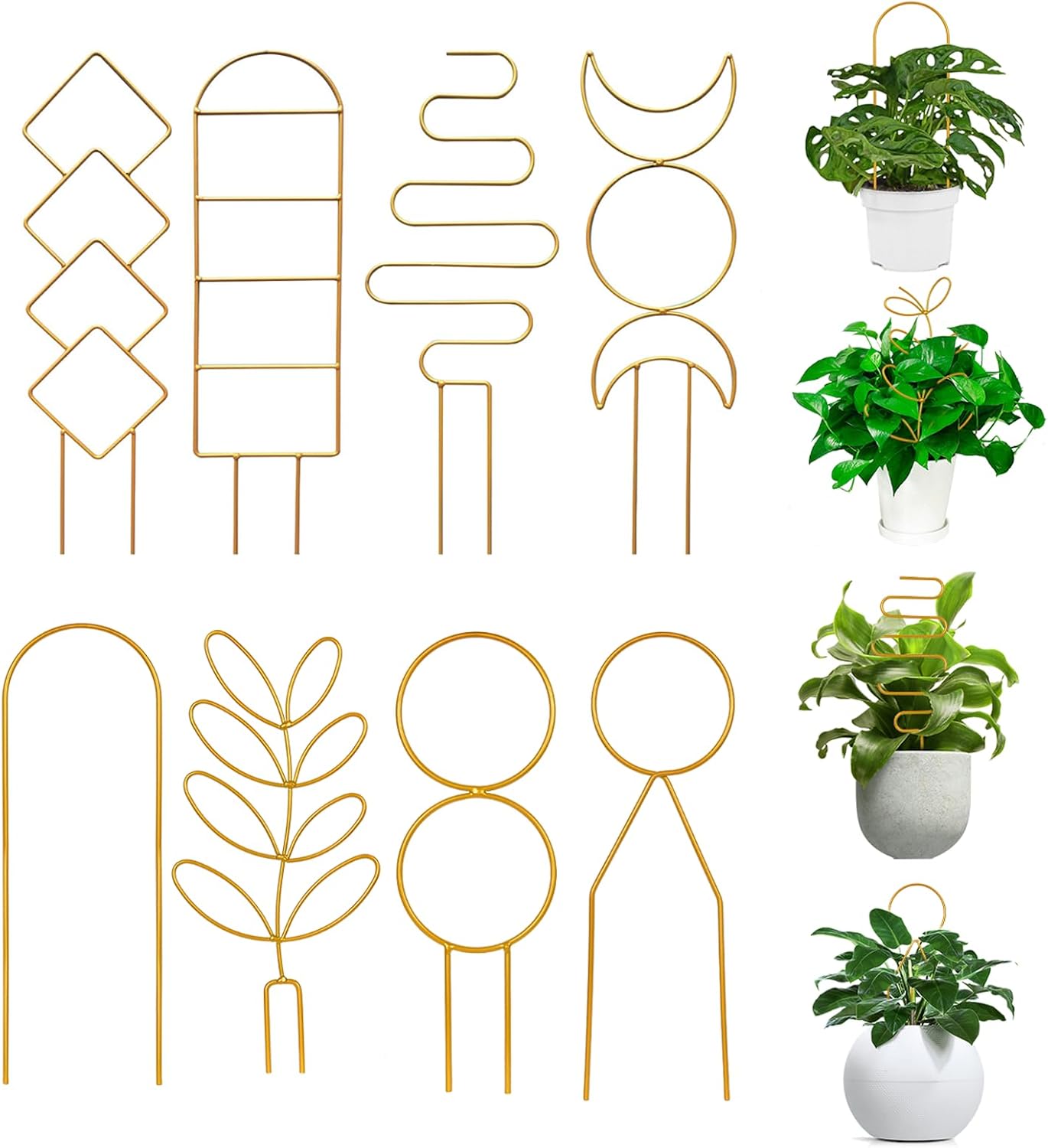 Tomato Plants Metal Trellis