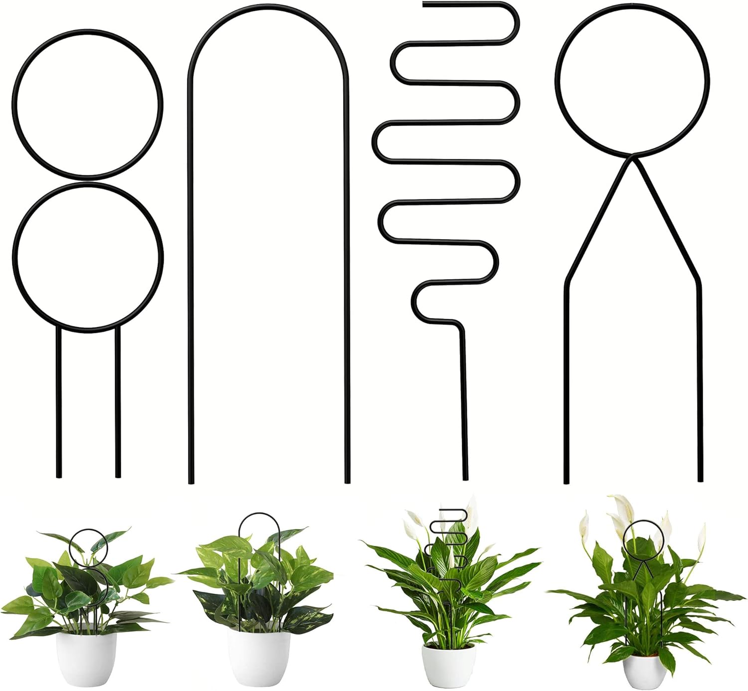 Plants Metal Trellis